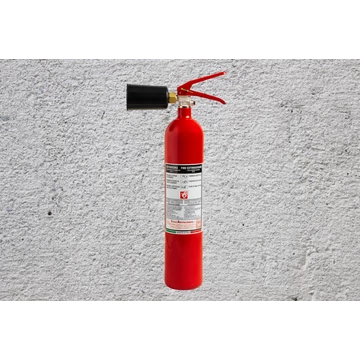 Különböző típusú kézi tűzoltó készülékek, beleértve a porral, habbal és gázzal oltókat